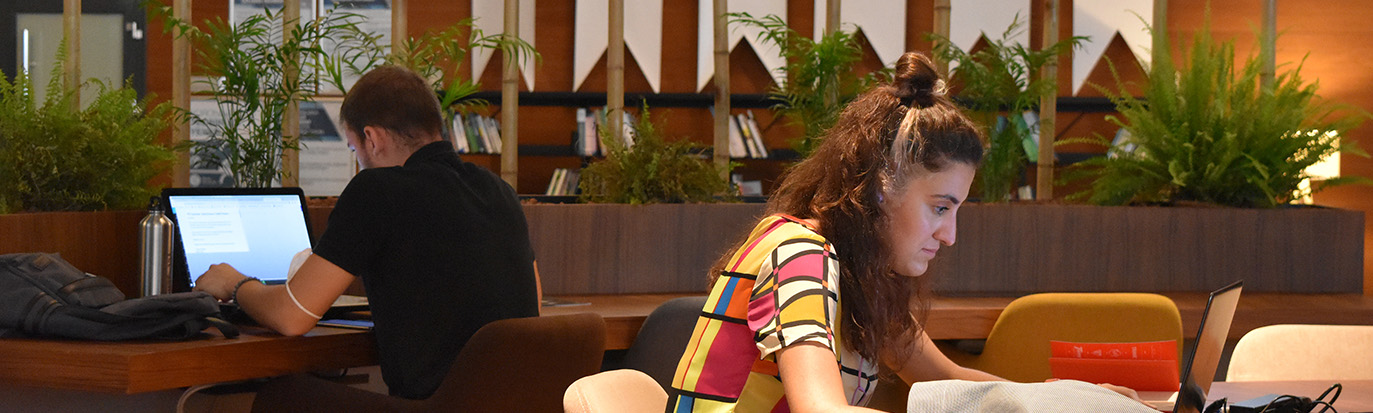 BTM Elevating Startups to The Global Stage